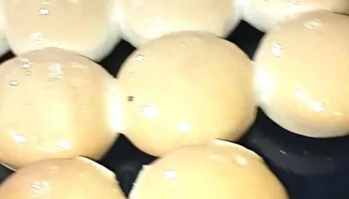 Panaderia Rotiseria Dario Videos - Las Breñas