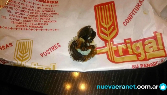 Panaderia Trigal Suc 5ta Seccion Carta - Ciudad