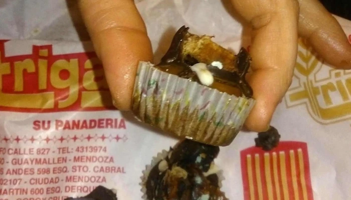 Panaderia Trigal Suc 5ta Seccion Comentarios - Ciudad