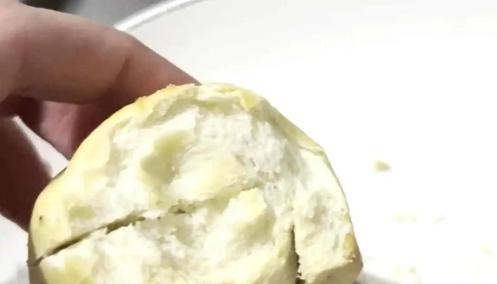 Panaderia Trigal Suc Bombal Videos - Mendoza