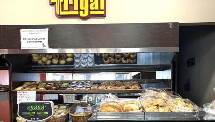 Panaderia Trigal Suc Espejo Videos - Capital