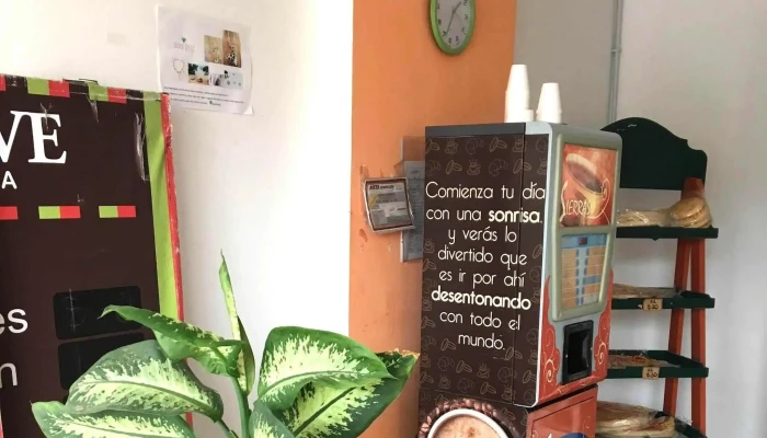 Panaderia Vallve Sitio Web - Córdoba