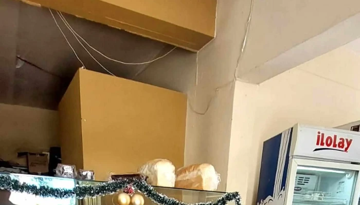 Panaderia Y Despensa Sofia -  Sitio Web - Neuquén
