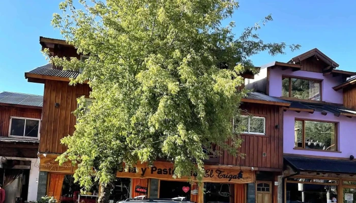 Panaderia Y Pasteleria El Trigal Instagram - San Martín de los Andes