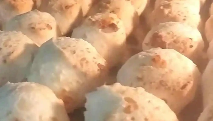 Panaderia Y Pasteleria La Morenita Videos - Sáenz Peña