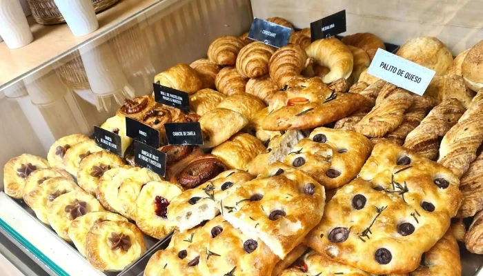Pandanes  Ciudad Abierto Ahora - Cdad. Autónoma de Buenos Aires