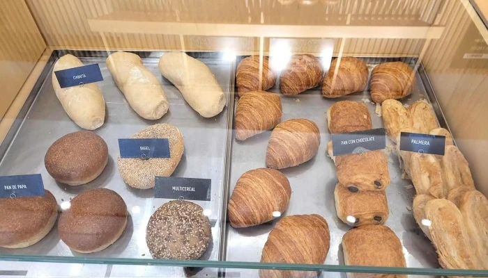 Pandanes  Monroe Vitrina - Cdad. Autónoma de Buenos Aires