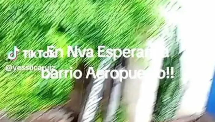 Panificacion Don Caravajal Videos - Nueva Esperanza