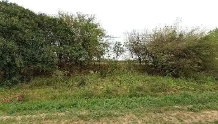 Panificadora Parque -  Opinionesdeg - Carcaraña