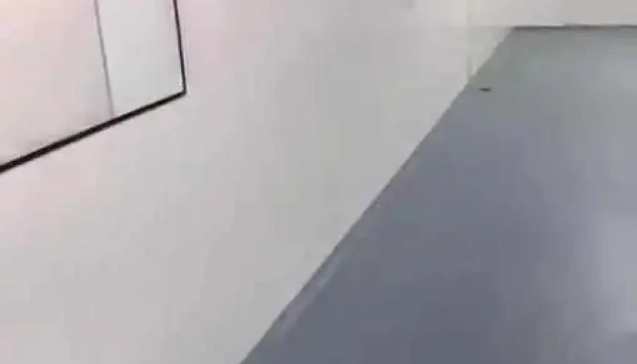 Panificadora Suecia -  Videos - Frías