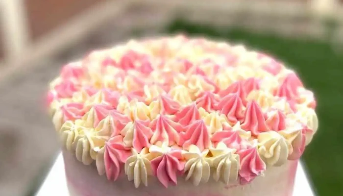 Pasteleria Makegina -  Pastel - Chimbas