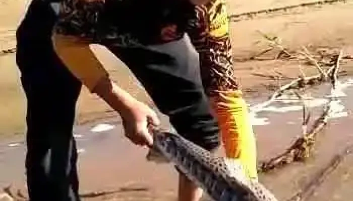 Pesca Empedrado -  Videos - Empedrado