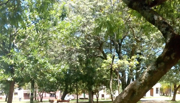 Plaza Manuel Belgrano -  Zona - La Cruz