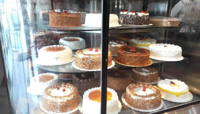Polo Norte -  Fotos - San Miguel de Tucumán
