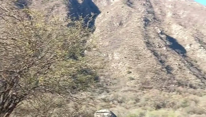 Poman Videos - Catamarca