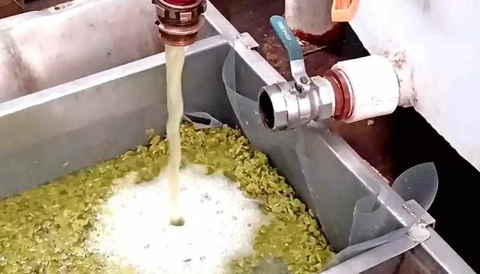 Posada Bodega Apotema -  Videos - Villa Basilio Nievas