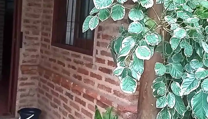 Posada De Los Pajaros Videos - Paso de la Patria