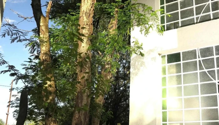 Posada Paloma -    Suite Guest House Exterior - La Granja