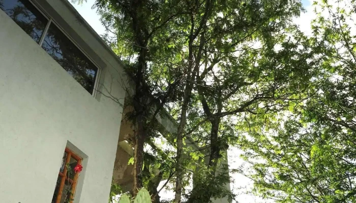 Posada Paloma -    Suite Guest House Opiniones - La Granja