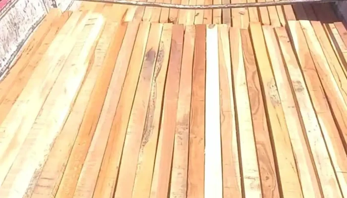 Posteria El Bagual Videos - Tres Isletas