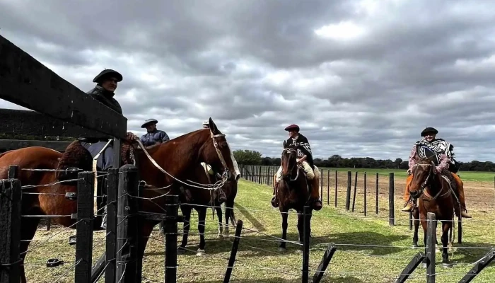 Predio De Remates De Estancia La Pelada -  Caballo - La Pelada