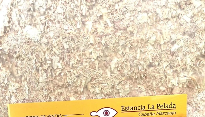 Predio de remates de Estancia La Pelada - La Pelada