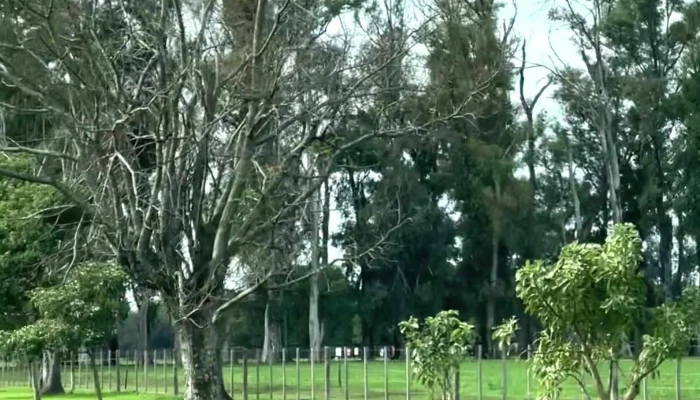 Predio De Remates De Estancia La Pelada -  Ubicacion - La Pelada