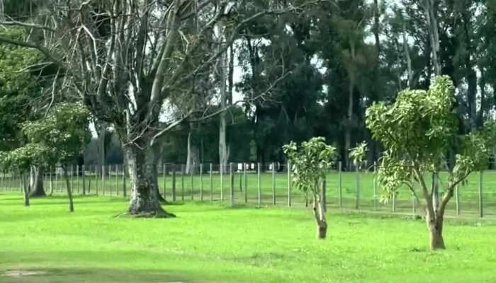 Predio De Remates De Estancia La Pelada -  Videos - La Pelada