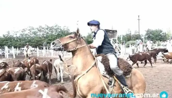 Predio Ferial Ganadero Santa Rosa -  Caballo - Mendoza