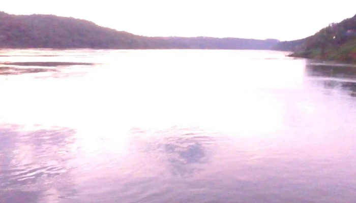 Puerto Eldorado -  Direccion - Misiones