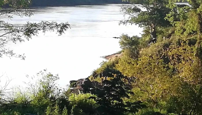 Puerto Eldorado -  Telefono - Misiones