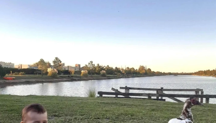 Puerto Roldan Videos - Roldán