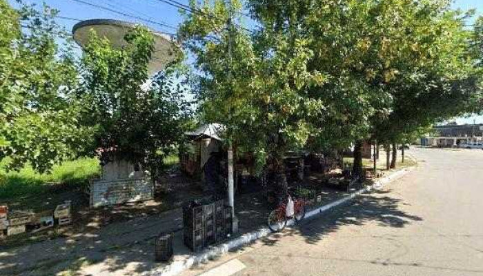 Punto De Venta De Palpitos24 -  Telefono - Monteros