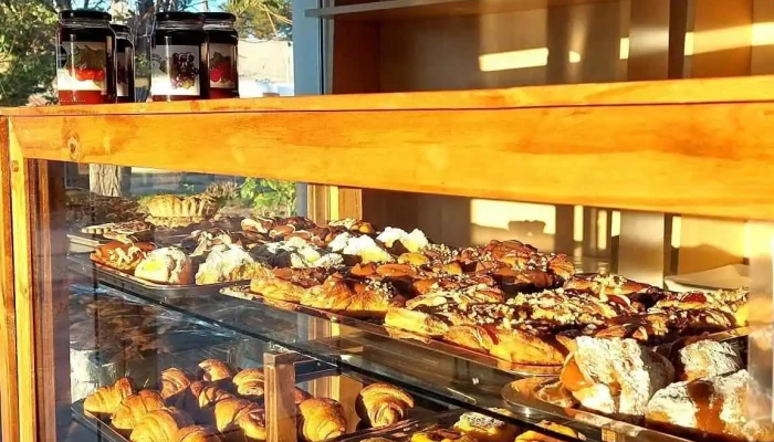Punto Sano -  Ambiente - Puerto Madryn
