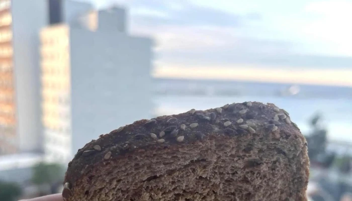Punto Sano -  Catalogo - Puerto Madryn