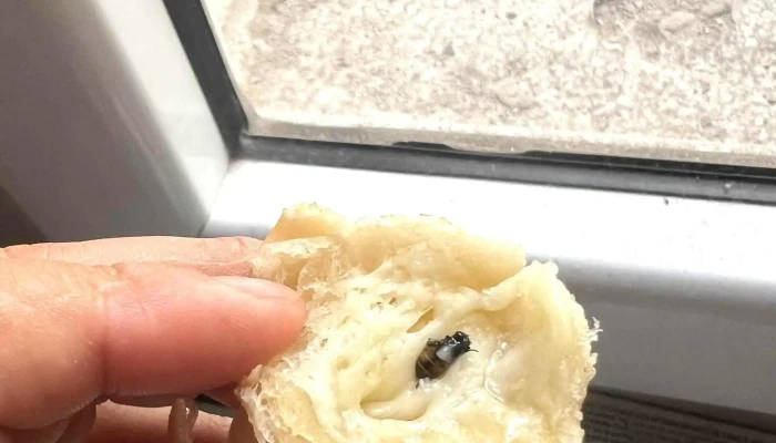 Qdelicias Panaderia Venezolana C1428cpi - C1428cpi