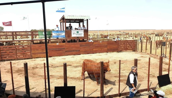 Remate Los Guasunchos Werthein -  Descuentos - Santa Fe