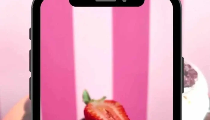 Rujtika Panaderia Y Pasteleria -  Videos - Cipolletti