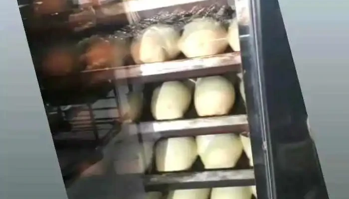 Sabores Fueguinos -  Videos - Arteaga