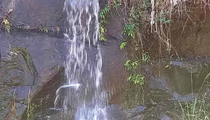 San Javier -  Videos - Misiones