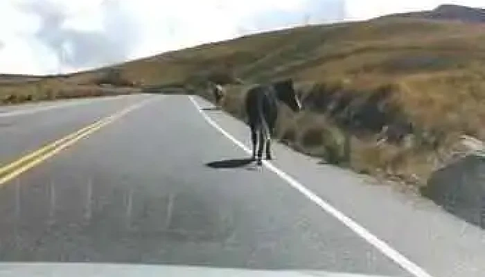 Santa Maria Videos - Catamarca