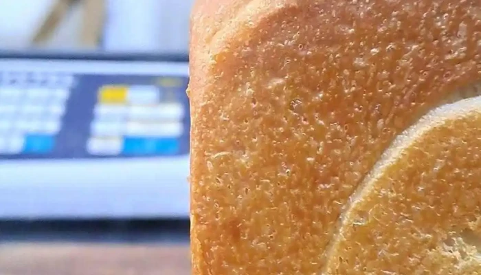 Sencilla Arrogante   Masa Madre Comida Y Bebida - Cdad. Autónoma de Buenos Aires
