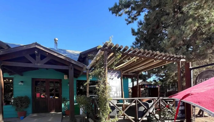 Sentido Bar Cafe Videos - Aluminé