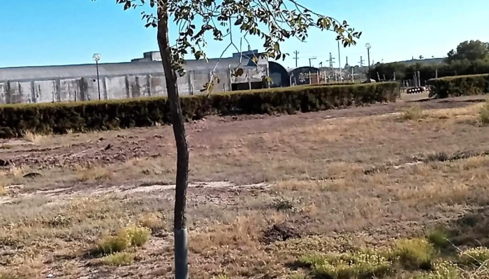 Sociedad Rural De Viedma -  Abierto Ahora - Viedma