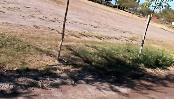 Sociedad Rural De Viedma -  Sitio Web - Viedma