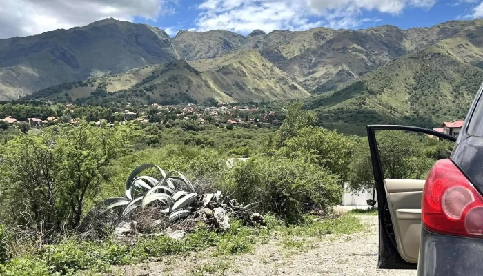 Sol De Los Nogales -  Numero - Merlo