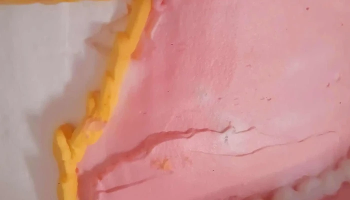 Tu Panaderia Zona - Mendoza