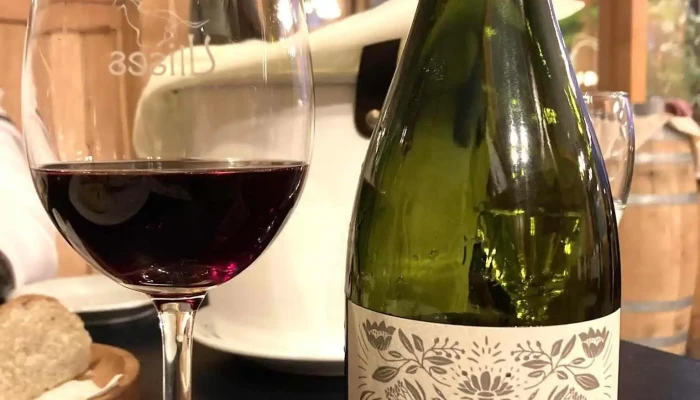 Ulises -  Vino - San Martín de los Andes