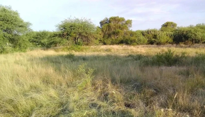 Venta De Terrenos -  Del Propietario - Santiago del Estero