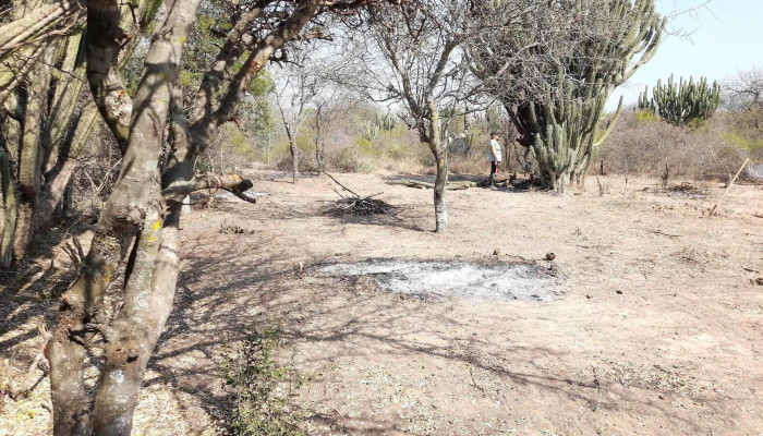 Venta De Terrenos -  Sitio Web - Santiago del Estero